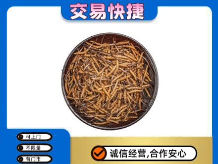 阿克苏地区高价回收散虫草